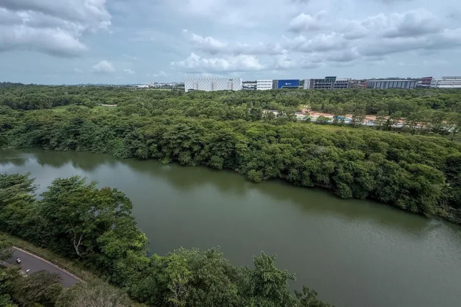 Residents, nature advocates seek study amid bus depot works at Serangoon River forest Residents, nature advocates seek study amid bus depot works at Serangoon River forest