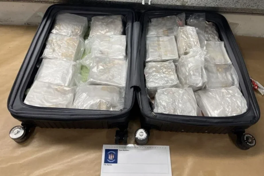 New Zealand national travelling from Singapore caught in Auckland airport with 18kg of meth New Zealand national travelling from Singapore caught in Auckland airport with 18kg of meth