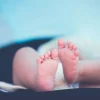 Alleged Indonesian trafficking ring sending babies into Singapore being investigated: MHA, MSF