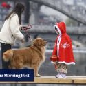 China’s service sector shines as holidaymakers embrace pet travel and bespoke adventures