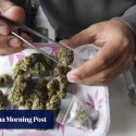 Thailand tightens cannabis sales as dispensaries face closure ahead of election