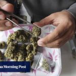 Thailand tightens cannabis sales as dispensaries face closure ahead of election Thailand tightens cannabis sales as dispensaries face closure ahead of election