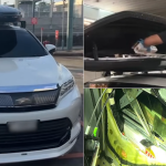 ICA foils Malaysian man’s attempt to smuggle over 420 cartons of duty-unpaid cigarettes via Woodlands Checkpoint, Singapore News