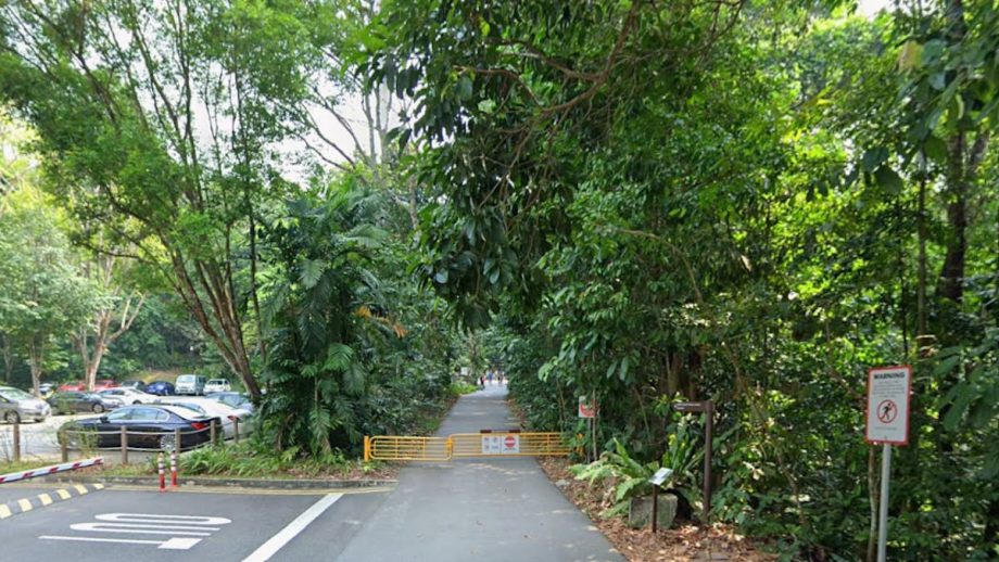 Cyclist jailed for obstructing NParks officer while trying to exit closed trail in Bukit Timah Nature Reserve