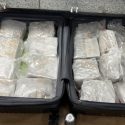 NZ woman accused of smuggling .5m of meth in checked luggage at Auckland Airport NZ woman accused of smuggling .5m of meth in checked luggage at Auckland Airport