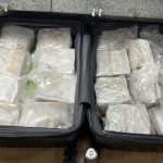 NZ woman accused of smuggling .5m of meth in checked luggage at Auckland Airport