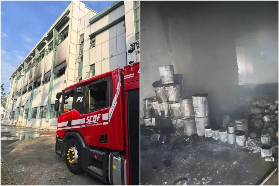 Fire breaks out at industrial building in Sungei Kadut; no injuries reported