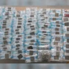 Woman arrested in West Coast Way condo after more than ,900 worth of drugs seized
