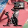4K and Blu-ray Steelbook New Year Sale with Major Peloton Fitness Discounts