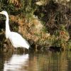 Feeling Hopeless? Get Out Into Nature