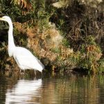 Feeling Hopeless? Get Out Into Nature