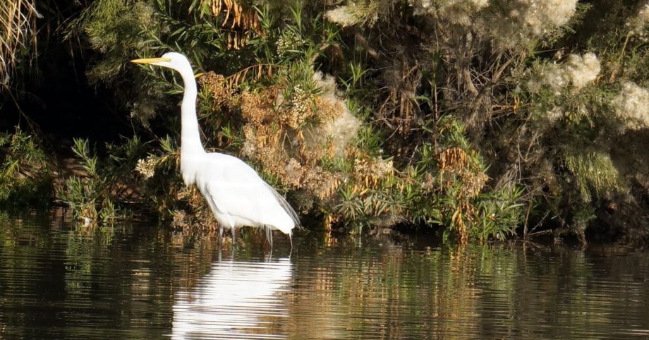 Feeling Hopeless? Get Out Into Nature Feeling Hopeless? Get Out Into Nature