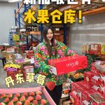 @starry.qiuqiu 谁还不懂新加坡水果仓库太好买了还有丹东草莓 @Sure Bagus Fruits  #sgfoodie #sgtiktok #sg…