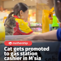 @mothershipsg the cutest cashier <3 #fyp #malaysia #cat …