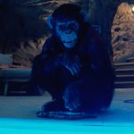 Primate Review – IGN