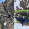 Singaporean man, 29, rescued after being stranded on Taiwan mountain without hiking gear, Singapore News