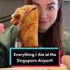 @karissaeats Hot chicken  #fyp#foodie#singapore#airport  …