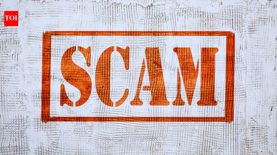 Indian man deported from Singapore in alleged job visa scam; how to spot and avoid visa fraud |