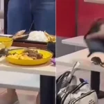 SFA investigating rodent sighting at Lucky Plaza foodcourt