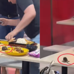 ‘Mickey is on tour’: Rat interrupts diners at Lucky Plaza food court, Singapore News