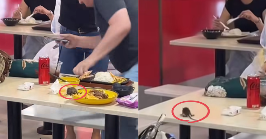 ‘Mickey is on tour’: Rat interrupts diners at Lucky Plaza food court, Singapore News ‘Mickey is on tour’: Rat interrupts diners at Lucky Plaza food court, Singapore News