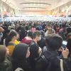 Delays as autogates go offline again