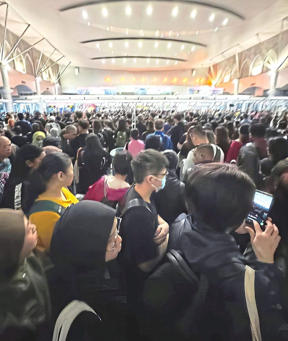 Delays as autogates go offline again