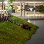 Body of missing Singapore boy retrieved from Kallang River