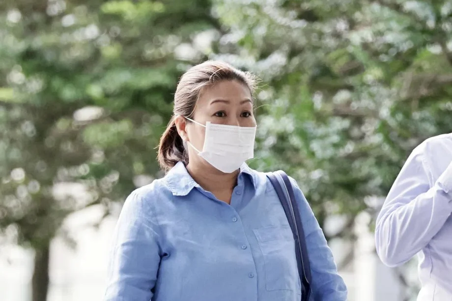 Jail for woman over ruse to dupe WSG programme partner into disbursing .4k in grants