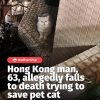 @mothershipsg Police found damaged trees in the planter and bloodstains on the a…
