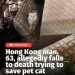 @mothershipsg Police found damaged trees in the planter and bloodstains on the a…