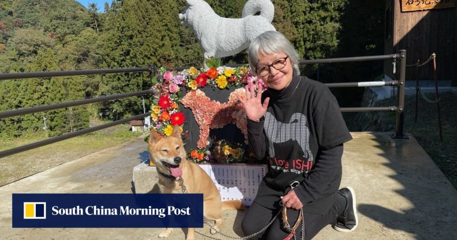 Where does the Shiba Inu hunting dog come from? Learn about the Japanese breed’s birth Where does the Shiba Inu hunting dog come from? Learn about the Japanese breed’s birth