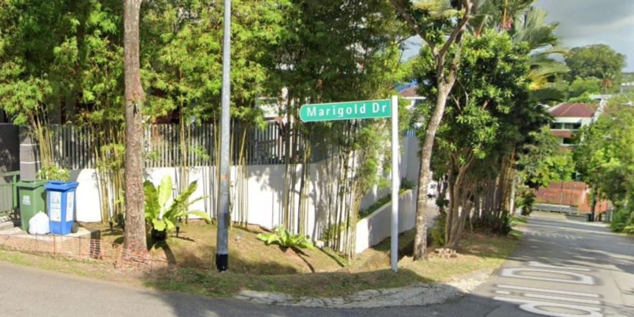 Police looking for suspect who allegedly entered home in Upper Thomson without permission Police looking for suspect who allegedly entered home in Upper Thomson without permission