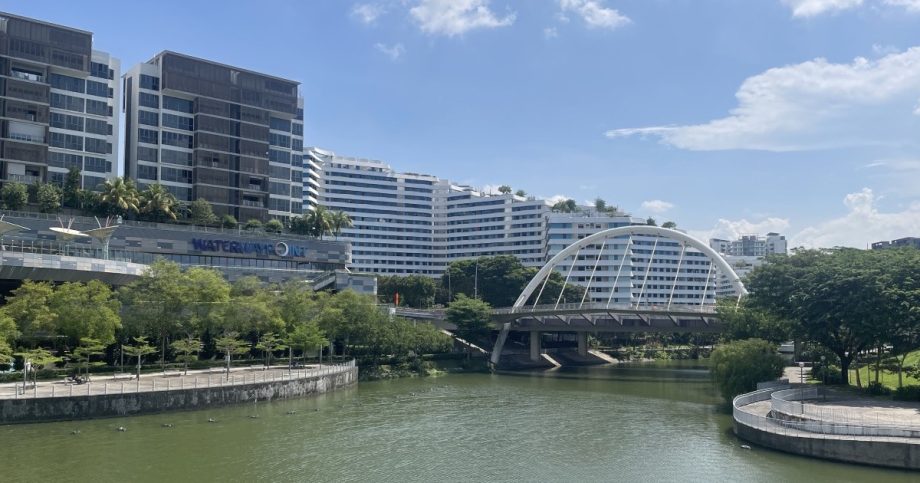 4 teens investigated for placing cones across road in Punggol, throwing bottle and liquid-filled bag at people, Singapore News