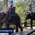 Elephant rides at Indonesia’s Bali attractions banned over animal welfare concerns