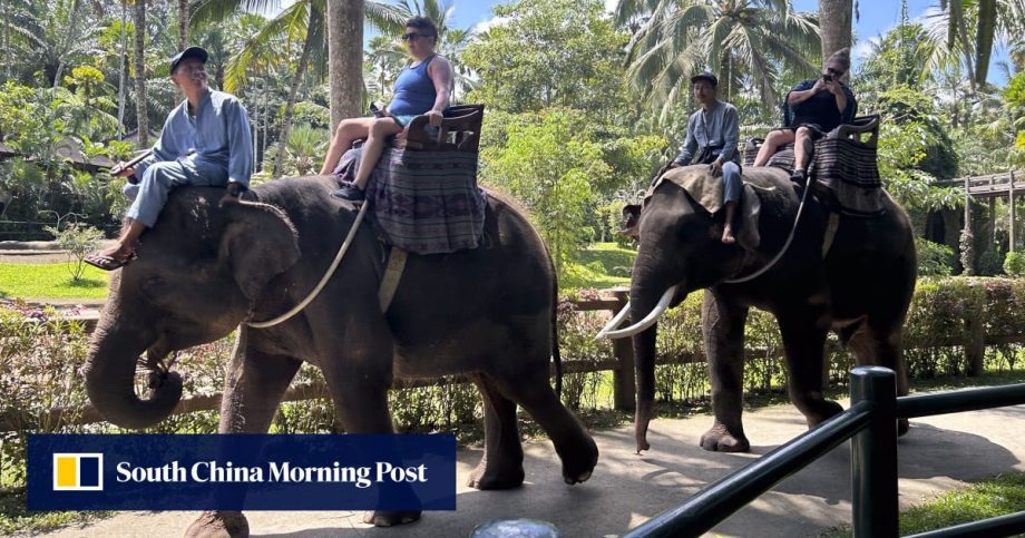 Elephant rides at Indonesia’s Bali attractions banned over animal welfare concerns