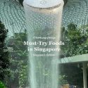 @its.hungerstocks MUST TRY FOODS IN SINGAPORE. #fyp #singapore #sgfood #thehungr…