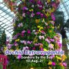@mothership.nova Orchid Extravaganza : Till Aug. 31 : Flower Dome at Gardens by …