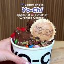@mothership.nova Yo-chi : Orchard Central, 181 Orchard Road, 01-06, S238896 : Mo…