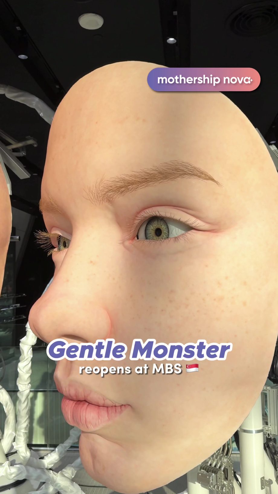 @mothership.nova mingyu was here  #tiktoksg #singapore #sgnews #marinabaysands #…