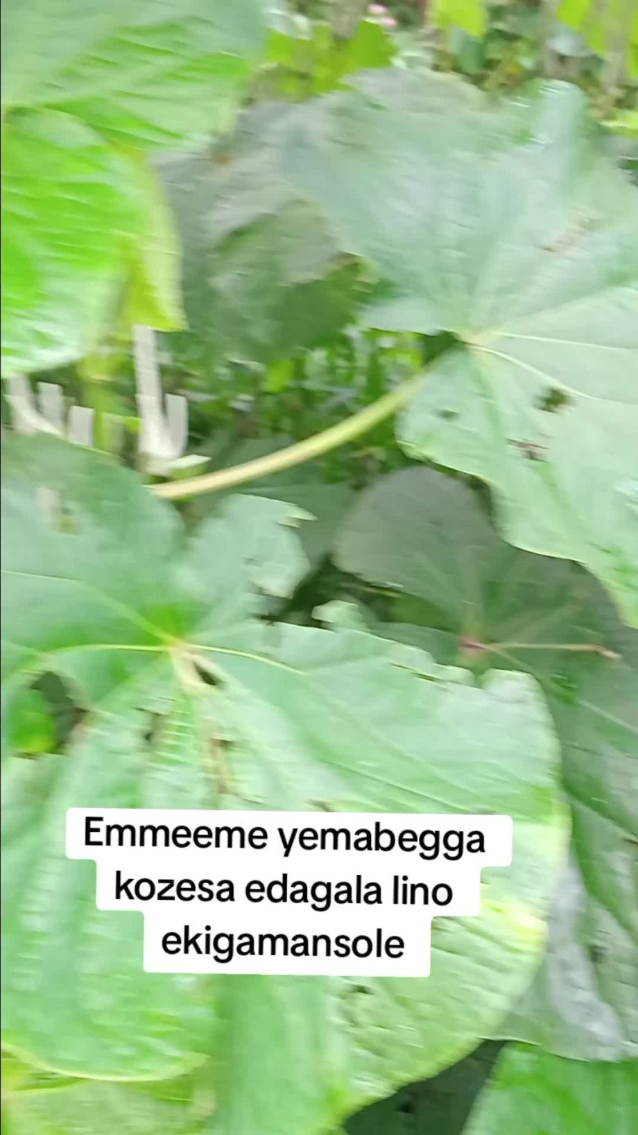 People On TikTok People On TikTok