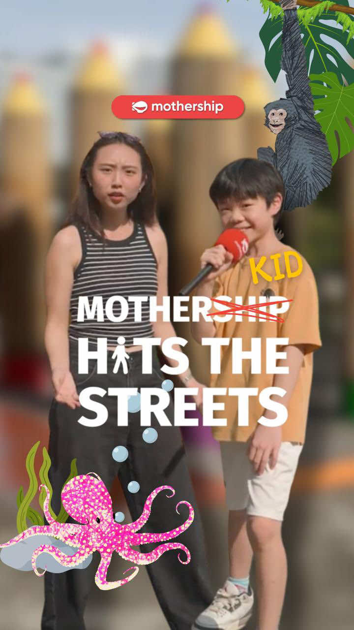 @mothershipsg Parents looking at this video like: But here’s the good news, you… @mothershipsg Parents looking at this video like: But here’s the good news, you…