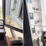 TikToker draws backlash for using electric water gun to shoot at pigeons on air-conditioner ledge