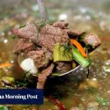 Cow dung hotpot, anyone? China’s ‘dark cuisine’ dish has deep cultural roots