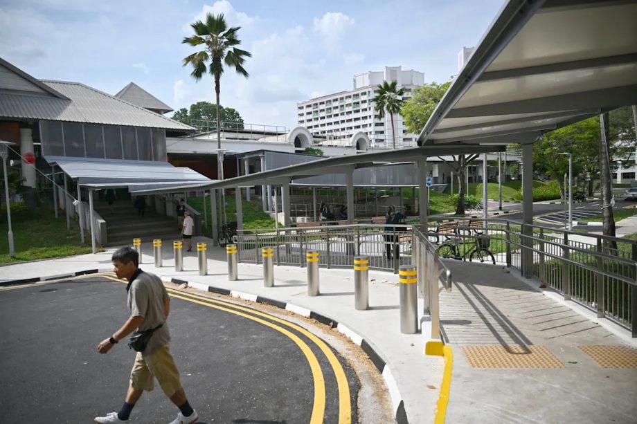 MPs’ heat-beating plans for Singapore: Microforests, sheltered walkways, and more outreach