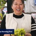 Shine muscat grapes grown in Hong Kong? This farmer is doing it – using baby milk formula