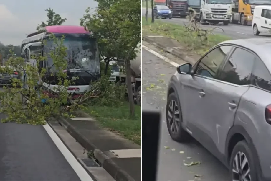 Cement truck, bus among 4 vehicles in accident on Tanah Merah Coast Road; no injuries reported