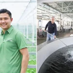 Singapore’s agri-tech grow fresher food, boost food security