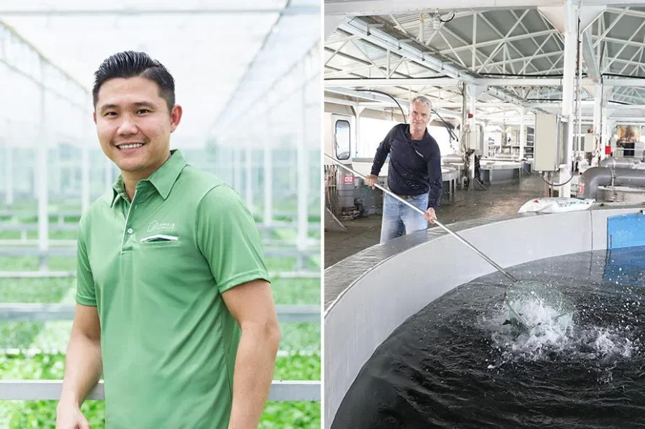 Singapore’s agri-tech grow fresher food, boost food security