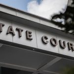 Employment agent who submitted work permit application for underage maid gets jail